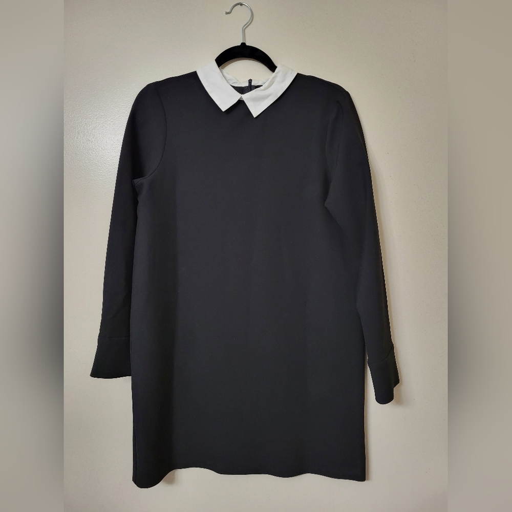 Zara Black Collared Straight Long Sleeve Dress